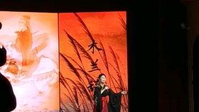 木兰辞朗诵视频成人,青春热血，家国情怀