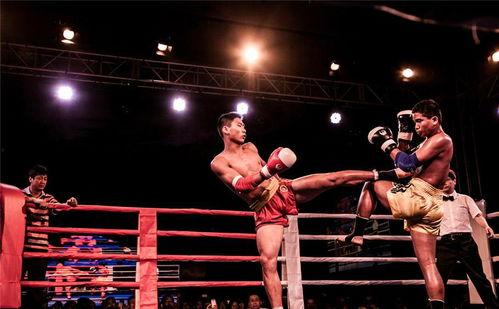 精诚泰拳成人比赛视频,激情对决，技艺巅峰对决瞬间