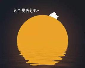 中秋节快乐视频成人,中秋快乐视频中的温馨人生瞬间