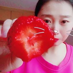 草莓视频成人久免费视频,揭秘成人久免费视频的精彩世界