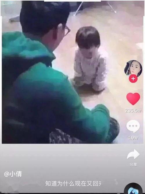 成人绘画板大全视频,从入门到精通的绘画艺术之旅