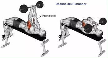 成人翻杠方法图解大全视频,成人翻杠方法全解析