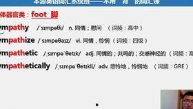 成人学英语视频教学软件,成人学英语视频教学软件深度解析
