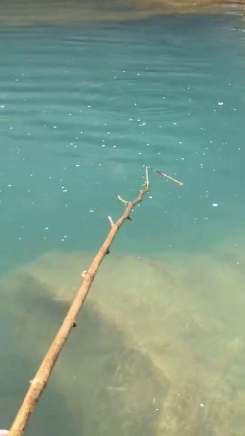 成人用树枝钓鱼好吗视频,成人回归自然的趣味体验